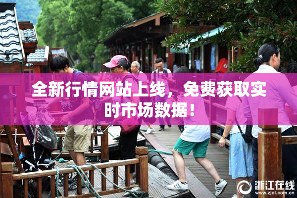 全新行情网站上线，免费获取实时市场数据！
