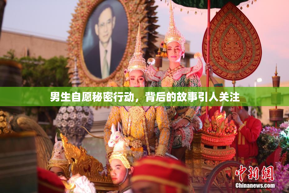 男生自愿秘密行动，背后的故事引人关注