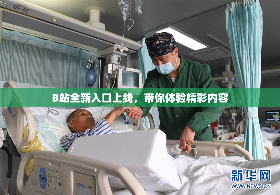 B站全新入口上线，带你体验精彩内容
