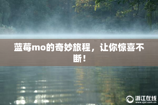 蓝莓mo的奇妙旅程，让你惊喜不断！