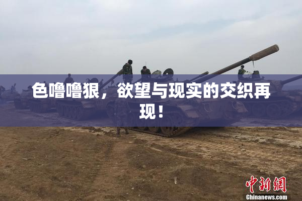 色噜噜狠，欲望与现实的交织再现！