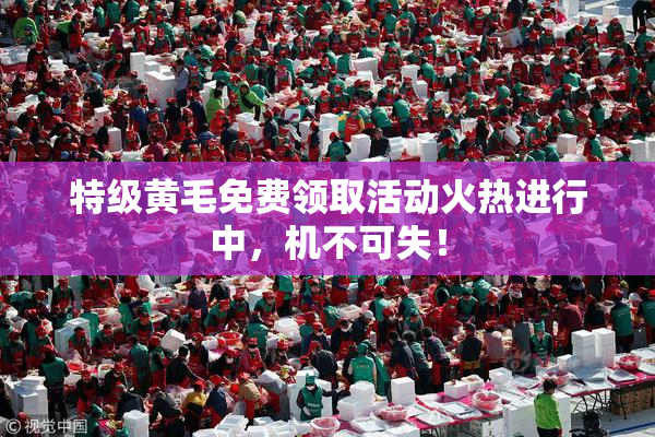 特级黄毛免费领取活动火热进行中，机不可失！