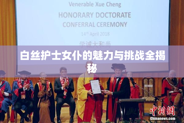 白丝护士女仆的魅力与挑战全揭秘