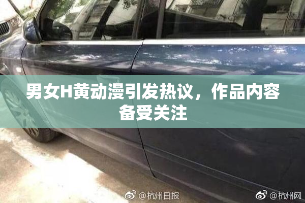 男女H黄动漫引发热议，作品内容备受关注