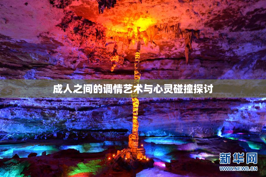 成人之间的调情艺术与心灵碰撞探讨