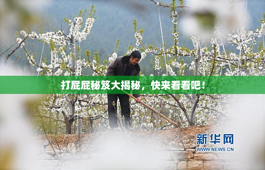 打屁屁秘笈大揭秘，快来看看吧！