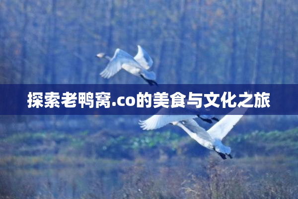 探索老鸭窝.co的美食与文化之旅