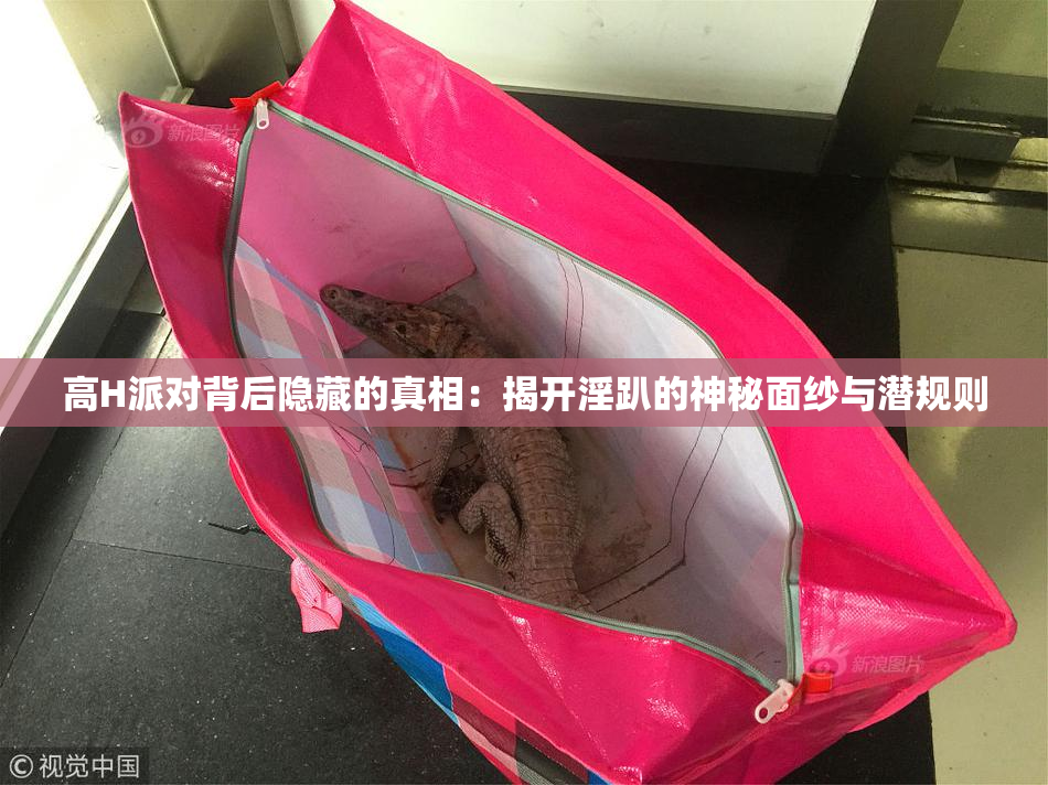 高H派对背后隐藏的真相：揭开淫趴的神秘面纱与潜规则