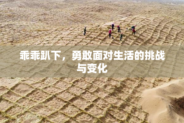 乖乖趴下，勇敢面对生活的挑战与变化
