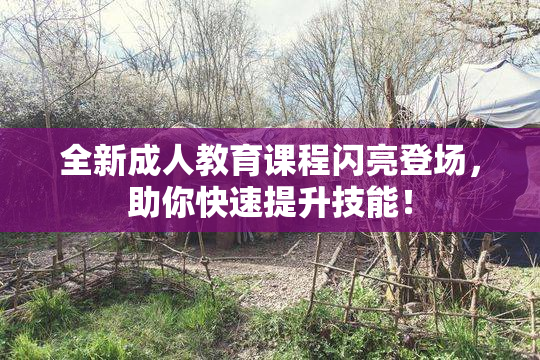 全新成人教育课程闪亮登场，助你快速提升技能！