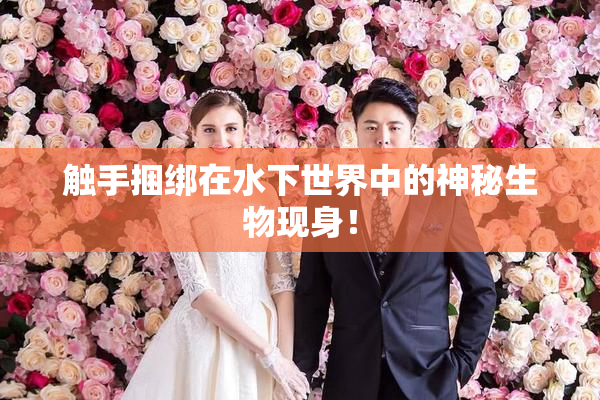触手捆绑在水下世界中的神秘生物现身！