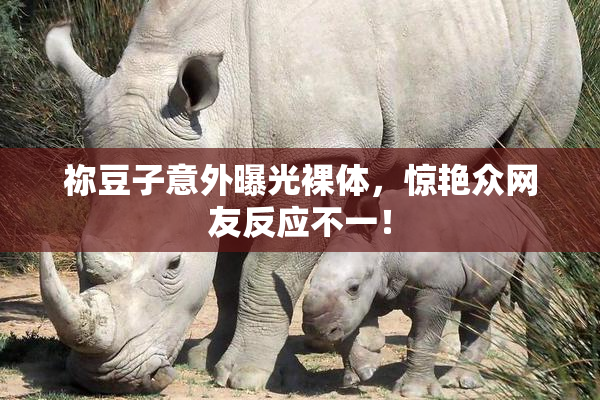 祢豆子意外曝光裸体，惊艳众网友反应不一！
