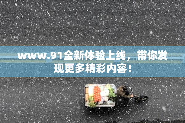 www.91全新体验上线，带你发现更多精彩内容！