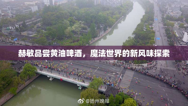 赫敏品尝黄油啤酒，魔法世界的新风味探索