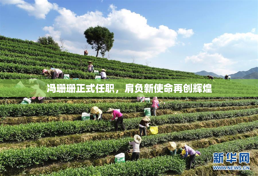 冯珊珊正式任职，肩负新使命再创辉煌