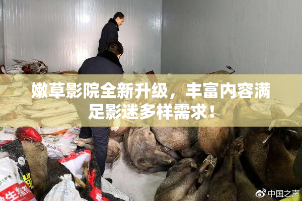 嫩草影院全新升级，丰富内容满足影迷多样需求！