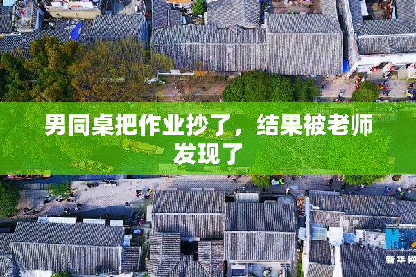 男同桌把作业抄了，结果被老师发现了
