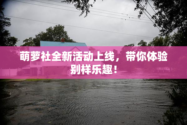 萌萝社全新活动上线，带你体验别样乐趣！