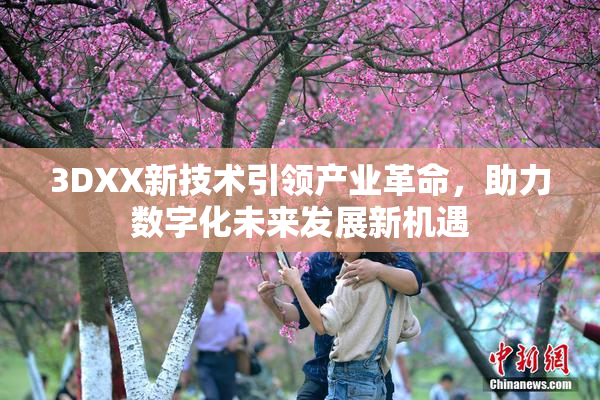 3DXX新技术引领产业革命，助力数字化未来发展新机遇