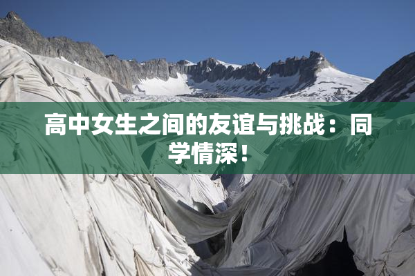 高中女生之间的友谊与挑战：同学情深！