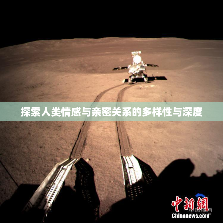 探索人类情感与亲密关系的多样性与深度
