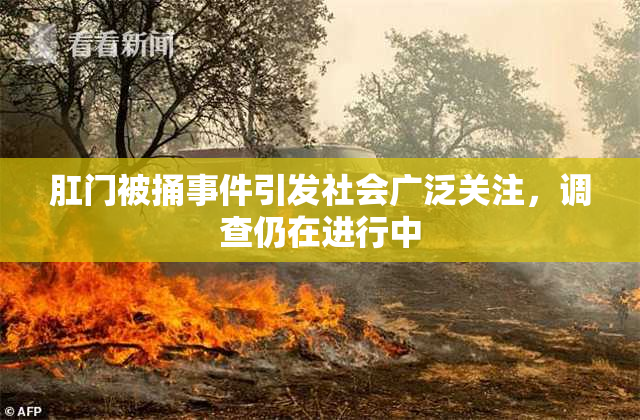 肛门被捅事件引发社会广泛关注，调查仍在进行中