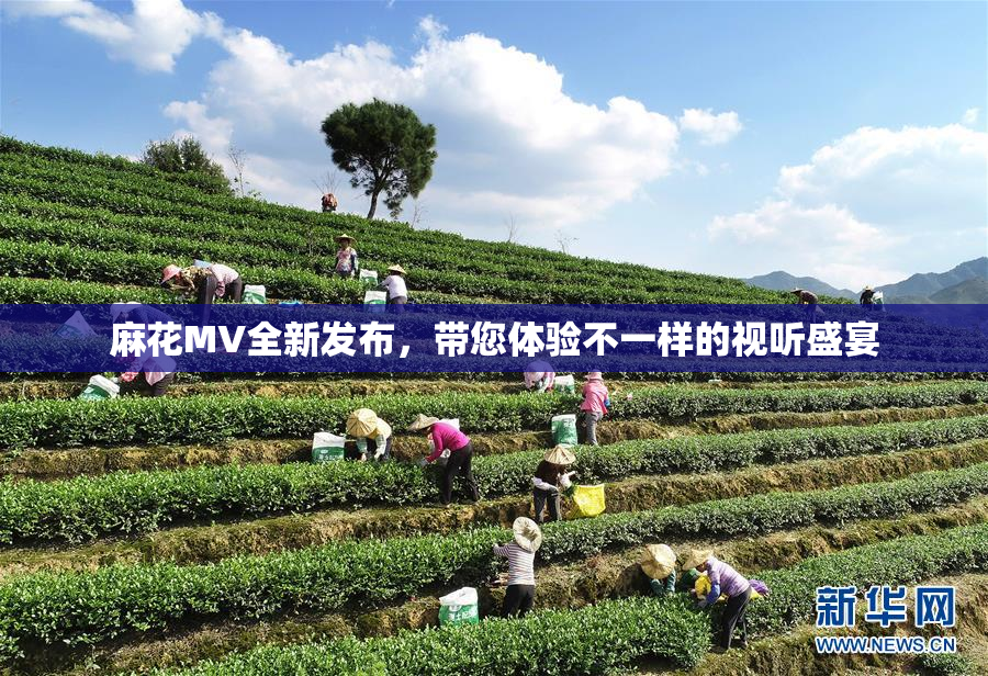 麻花MV全新发布，带您体验不一样的视听盛宴