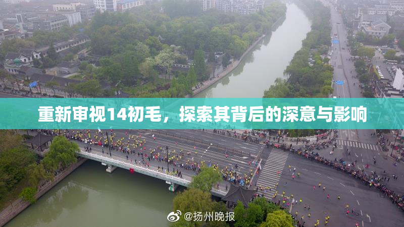 重新审视14初毛，探索其背后的深意与影响