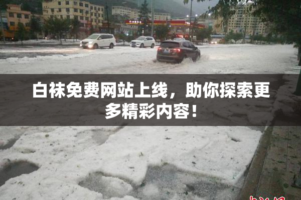 白袜免费网站上线，助你探索更多精彩内容！