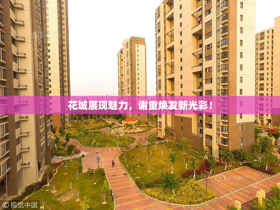花城展现魅力，谢重焕发新光彩！
