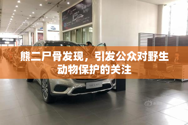 熊二尸骨发现，引发公众对野生动物保护的关注