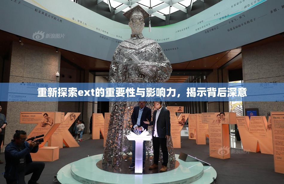 重新探索ext的重要性与影响力，揭示背后深意