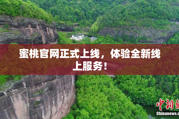 蜜桃官网正式上线，体验全新线上服务！