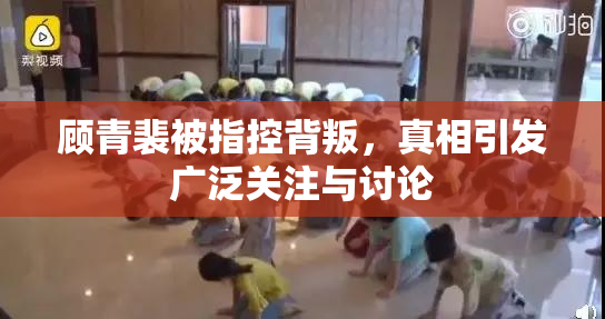 顾青裴被指控背叛，真相引发广泛关注与讨论
