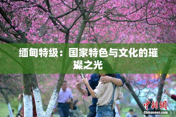 缅甸特级：国家特色与文化的璀璨之光