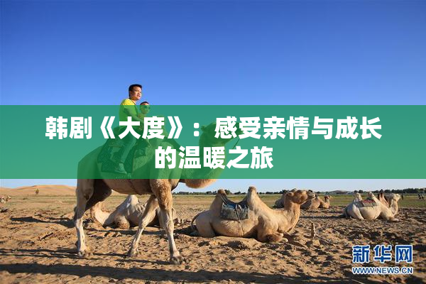 韩剧《大度》：感受亲情与成长的温暖之旅