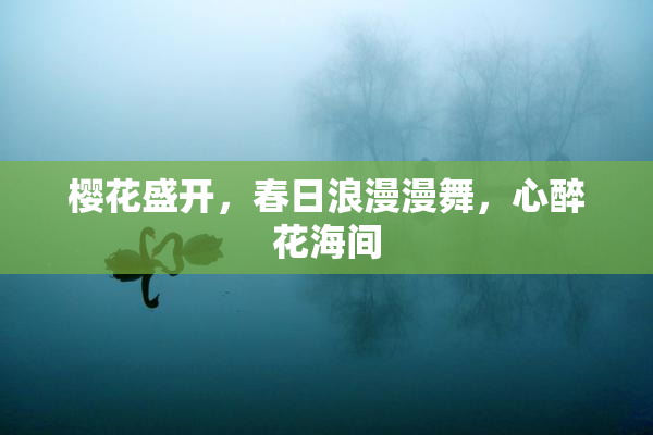 樱花盛开，春日浪漫漫舞，心醉花海间