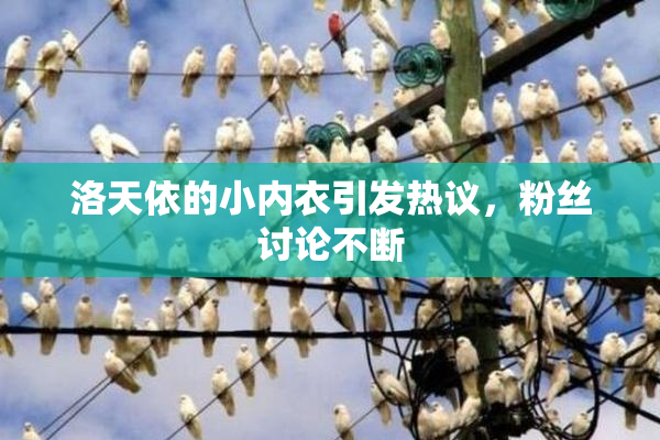 洛天依的小内衣引发热议，粉丝讨论不断