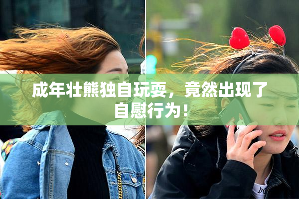 成年壮熊独自玩耍，竟然出现了自慰行为！