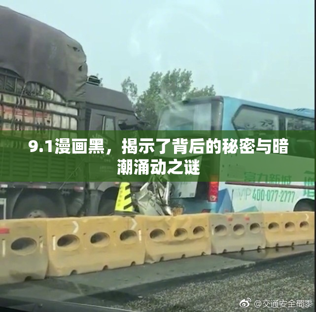9.1漫画黑，揭示了背后的秘密与暗潮涌动之谜