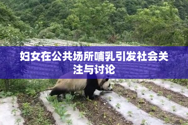 妇女在公共场所哺乳引发社会关注与讨论
