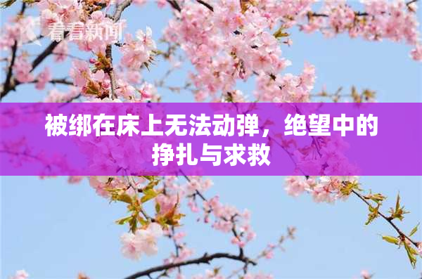 被绑在床上无法动弹，绝望中的挣扎与求救