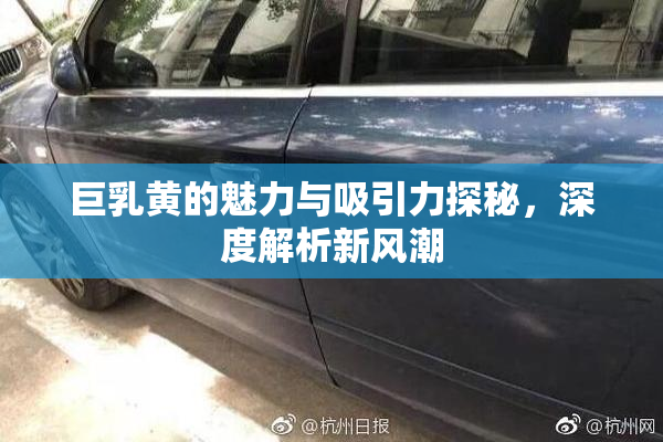巨乳黄的魅力与吸引力探秘，深度解析新风潮