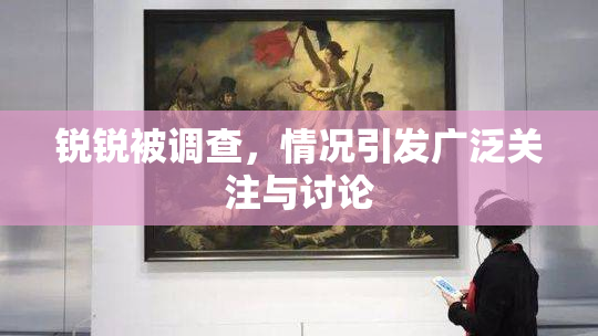 锐锐被调查，情况引发广泛关注与讨论