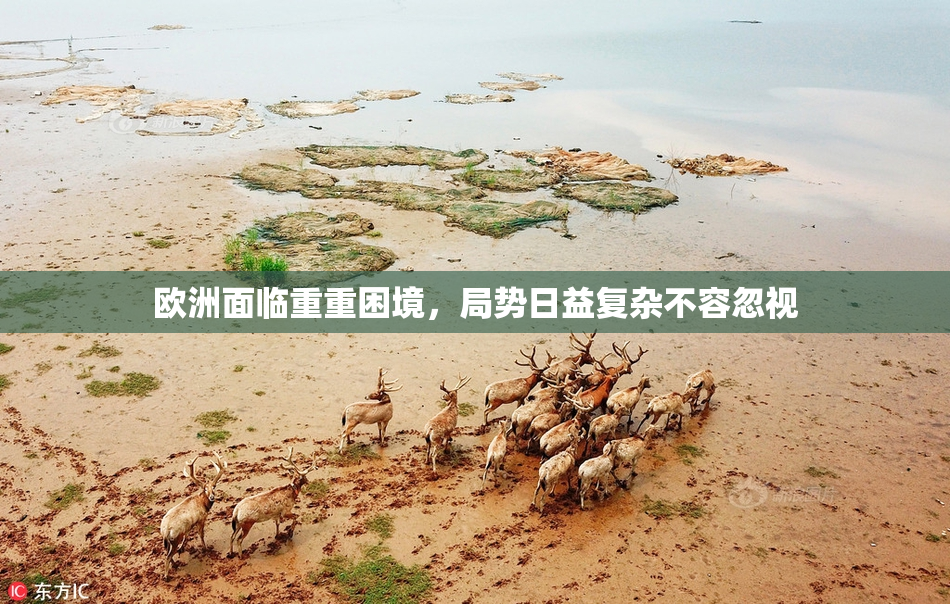 欧洲面临重重困境，局势日益复杂不容忽视