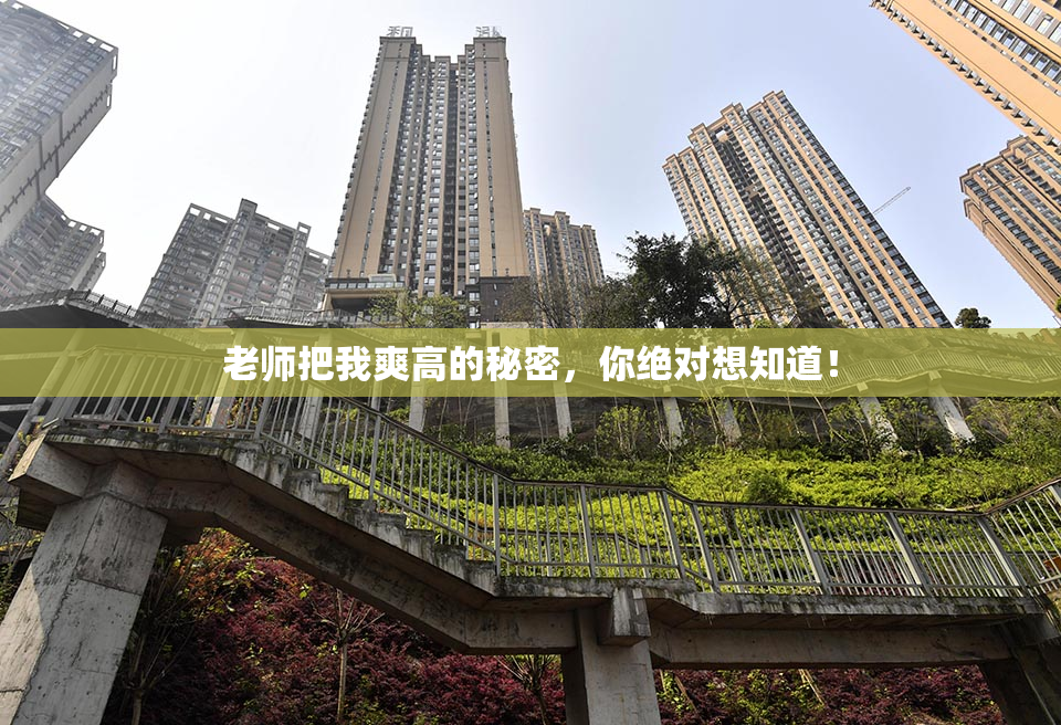 老师把我爽高的秘密，你绝对想知道！
