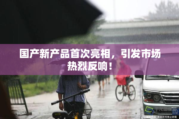 国产新产品首次亮相，引发市场热烈反响！