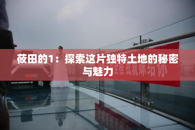 莜田的1：探索这片独特土地的秘密与魅力