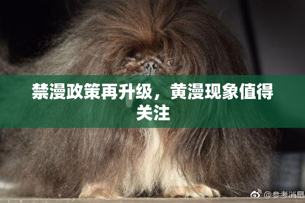 禁漫政策再升级，黄漫现象值得关注