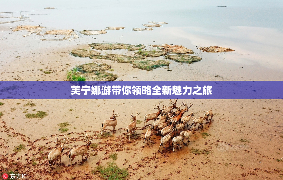 芙宁娜游带你领略全新魅力之旅
